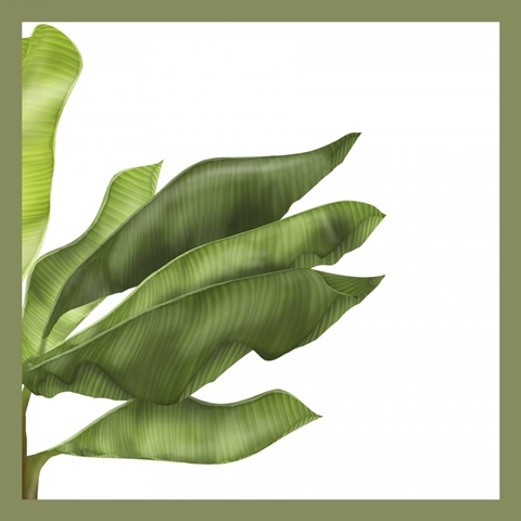 FabFunky Palm Collection c