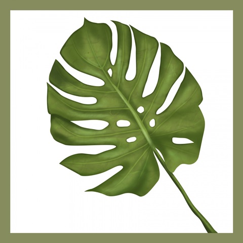 FabFunky Palm Collection E