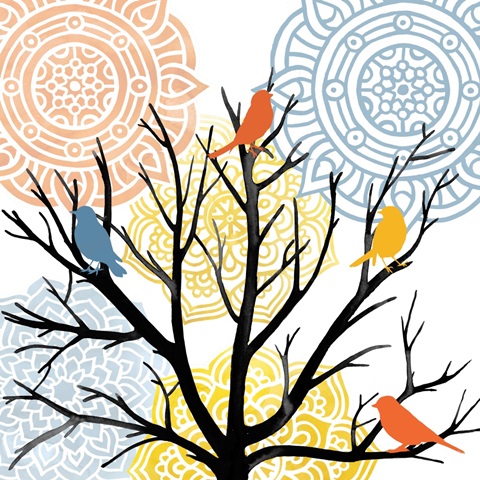 Fly Free Collection A