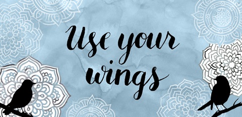 Fly Free Collection c