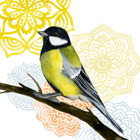 Fly Free Collection G