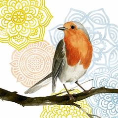 Fly Free Collection H