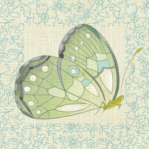 Graphic Bird Collection D