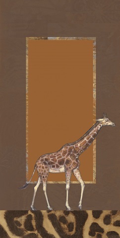 Grasslands Collection B