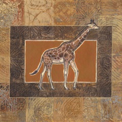 Grasslands Collection D