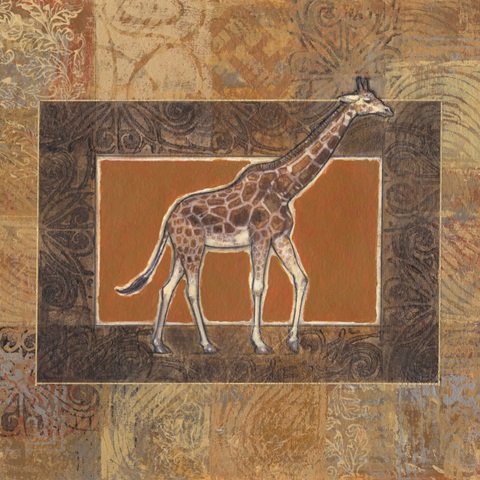 Grasslands Collection D