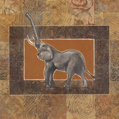 Grasslands Collection E