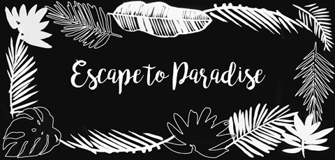 Hibiscus Dance Collection C