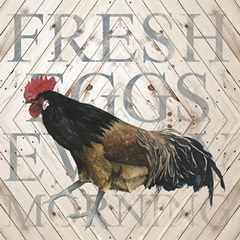 Home on the Range Collection E