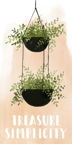 Indoor Oasis Collection B