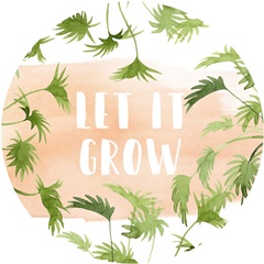 Indoor Oasis Collection C