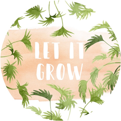 Indoor Oasis Collection C