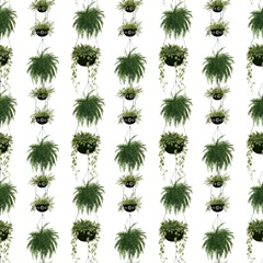 Indoor Oasis Collection F