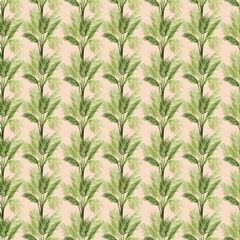 Indoor Oasis Collection H