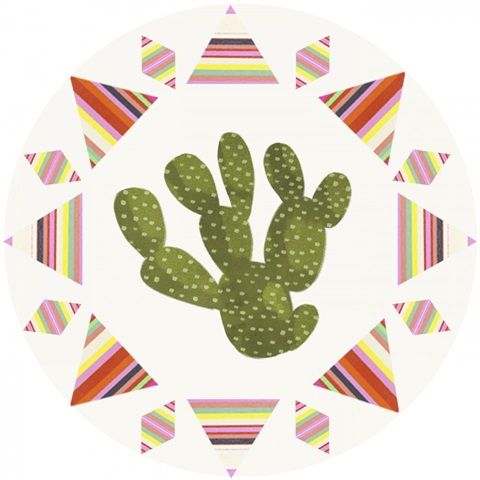 Llamarama Collection C