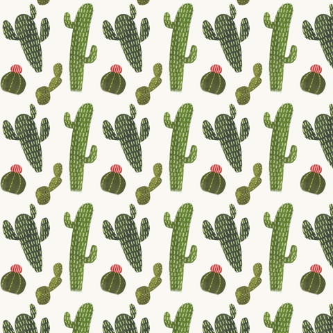 Llamarama Collection F