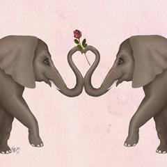 Love is in the Air Collection C