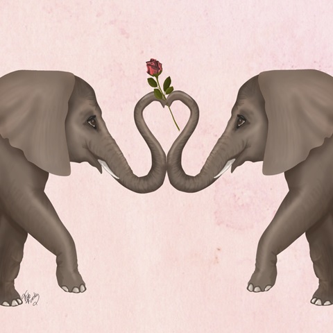 Love is in the Air Collection C