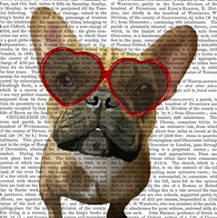 Love is in the Air Collection D