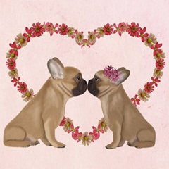 Love is in the Air Collection E