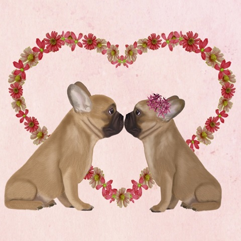 Love is in the Air Collection E