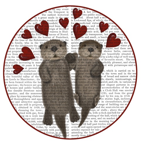 Love is in the Air Collection G