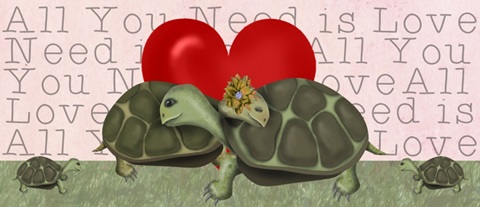 Love is in the Air Collection H