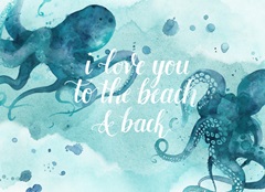 Mariner Collection A