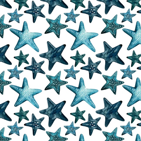 Mariner Collection H