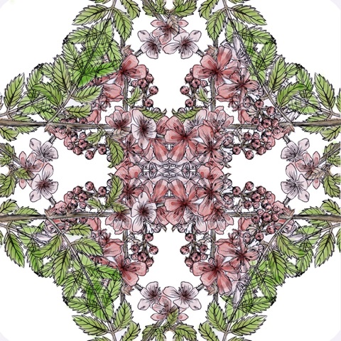 Marshmallow Flower Collection A