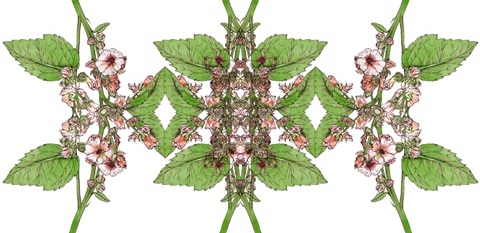 Marshmallow Flower Collection C