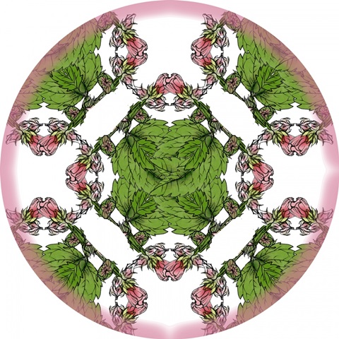 Marshmallow Flower Collection F