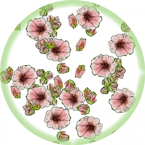 Marshmallow Flower Collection G