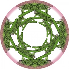 Marshmallow Flower Collection H