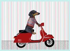Moped Mania Collection A