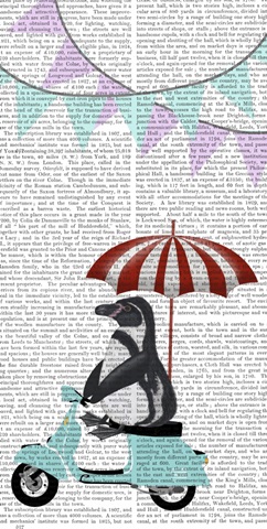 Moped Mania Collection B