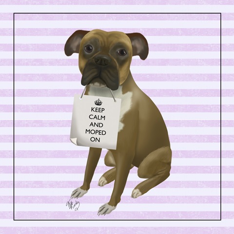 Moped Mania Collection C