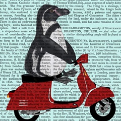 Moped Mania Collection D