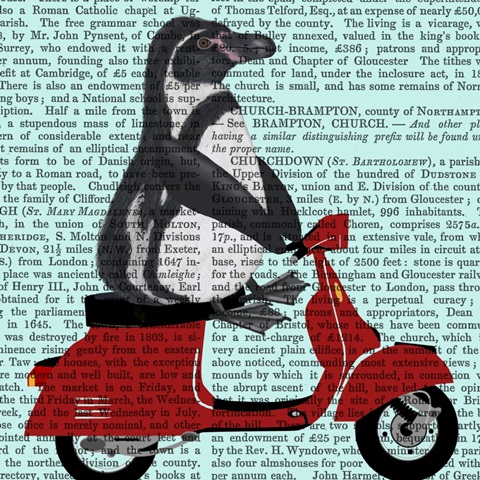 Moped Mania Collection D