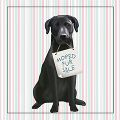 Moped Mania Collection E