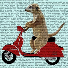 Moped Mania Collection F