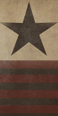 Patriotic Collection B