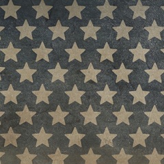 Patriotic Collection D