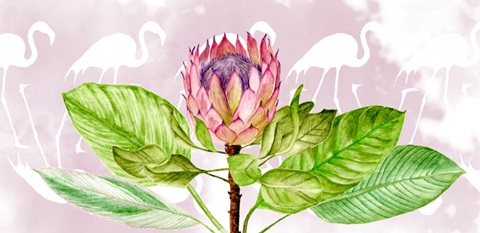 Pink Flamingo Collection C