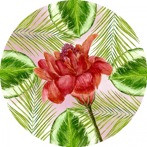 Pink Flamingo Collection E