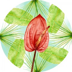 Pink Flamingo Collection F