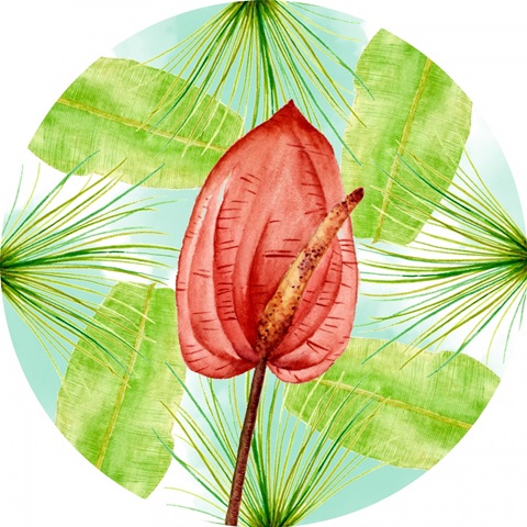 Pink Flamingo Collection F