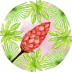 Pink Flamingo Collection G