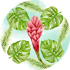 Pink Flamingo Collection H