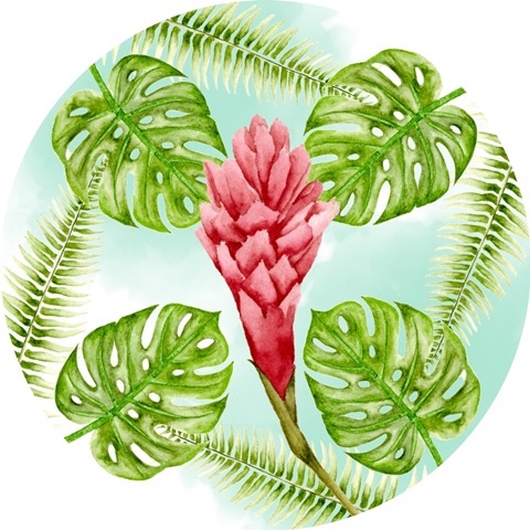 Pink Flamingo Collection H